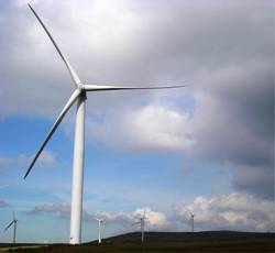 Wind farm surveys