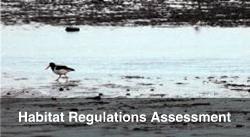 Habitat Regulations Assessment HRA
