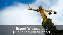 Expert Witness and Public Inquiry Support