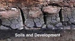 Soils and Development