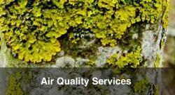 Air Quality Ecology
