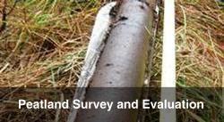 Peatland Survey and Evaluation