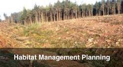 Habitat Management Planning