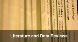 Literature and Data Reviews