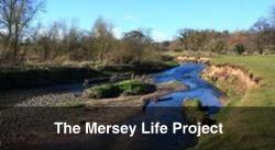 Mersey Life Project